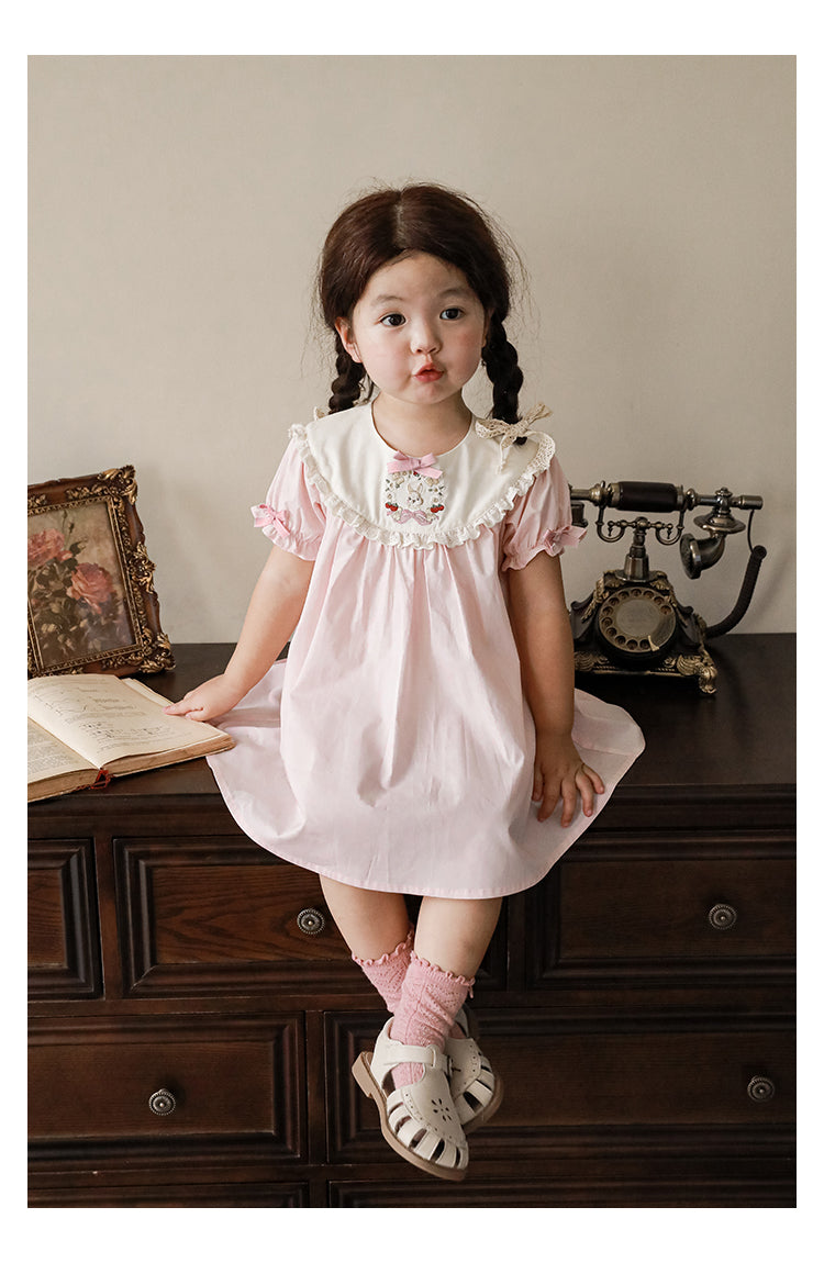 Baby Girl Pink Bunny Embroidered Dress