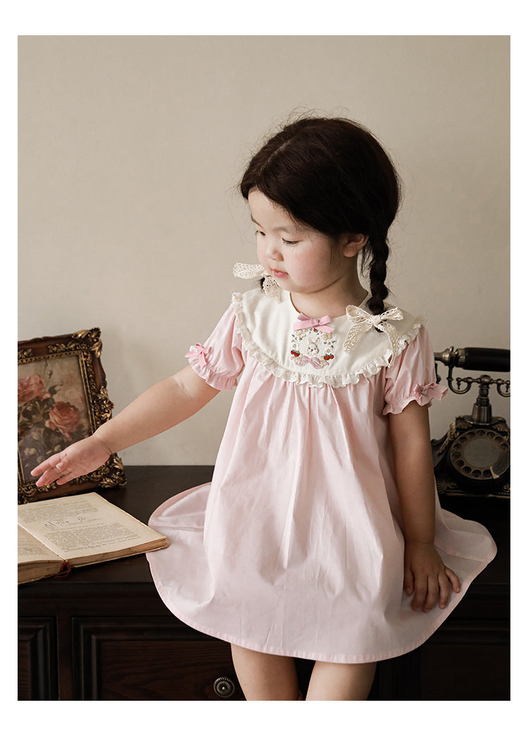 Baby Girl Pink Bunny Embroidered Dress
