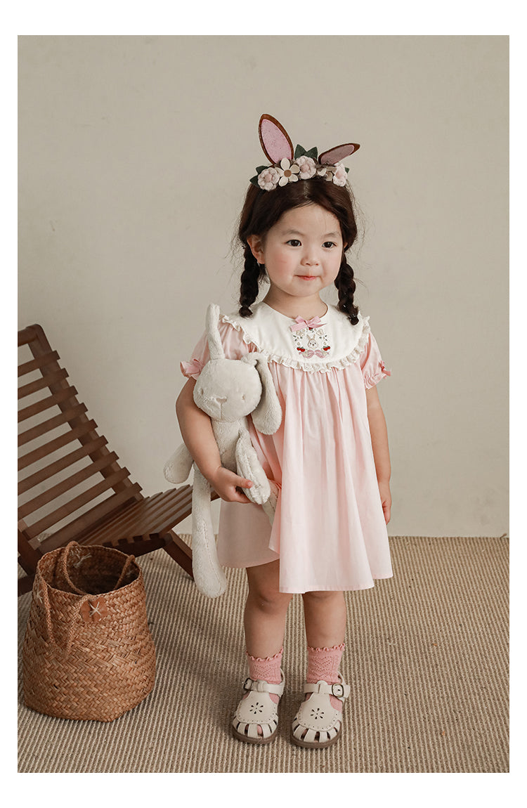 Baby Girl Pink Bunny Embroidered Dress