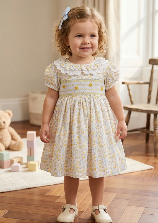 Bella Broderie Collar Smock Dress, Honey Blossom