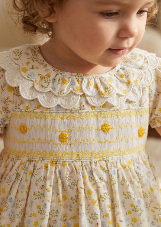 Bella Broderie Collar Smock Dress, Honey Blossom