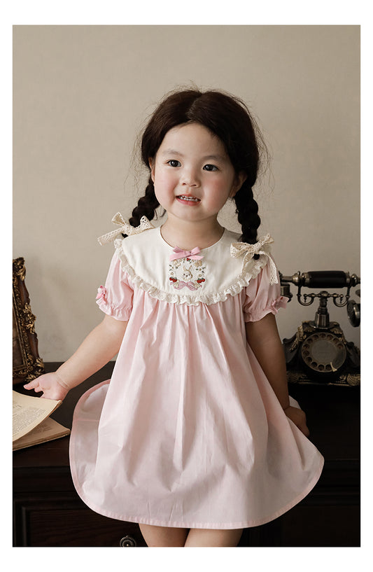 Baby Girl Pink Bunny Embroidered Dress