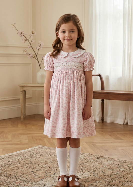 Charlotte Embroidered Collar Smock Dress, Rose Toile