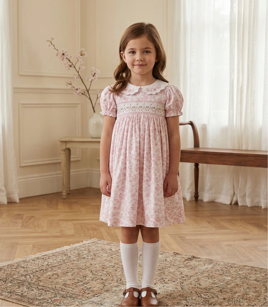 Charlotte Embroidered Collar Smock Dress, Rose Toile