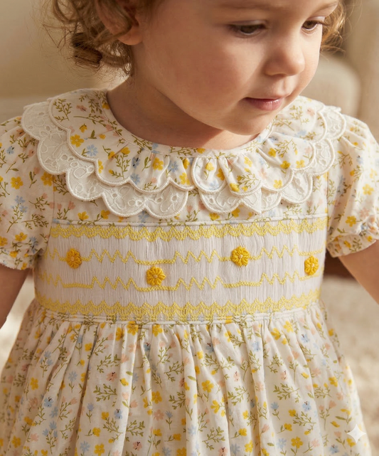 Bella Broderie Collar Smock Dress, Honey Blossom